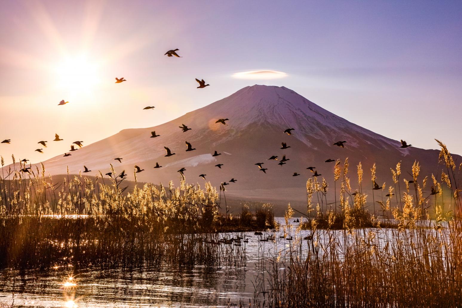 富士山にいちばん近い湖「山中湖」