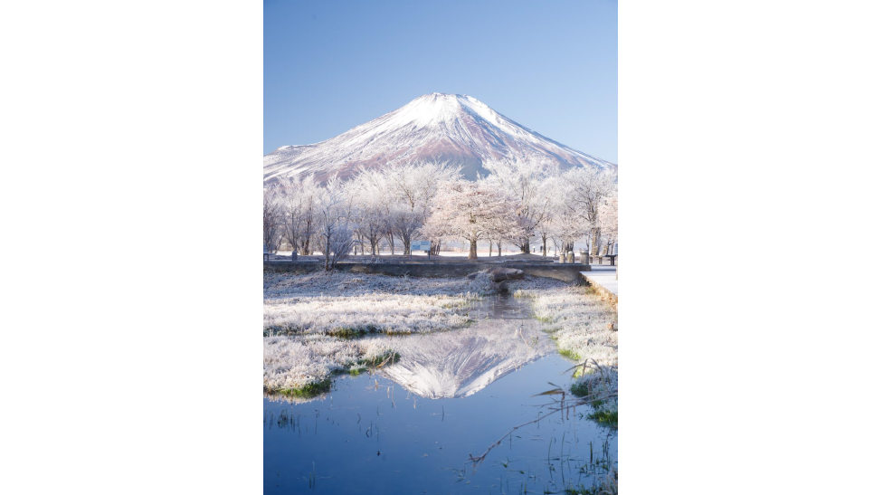 第19回山中湖フォトグランプリ入選作品発表-1