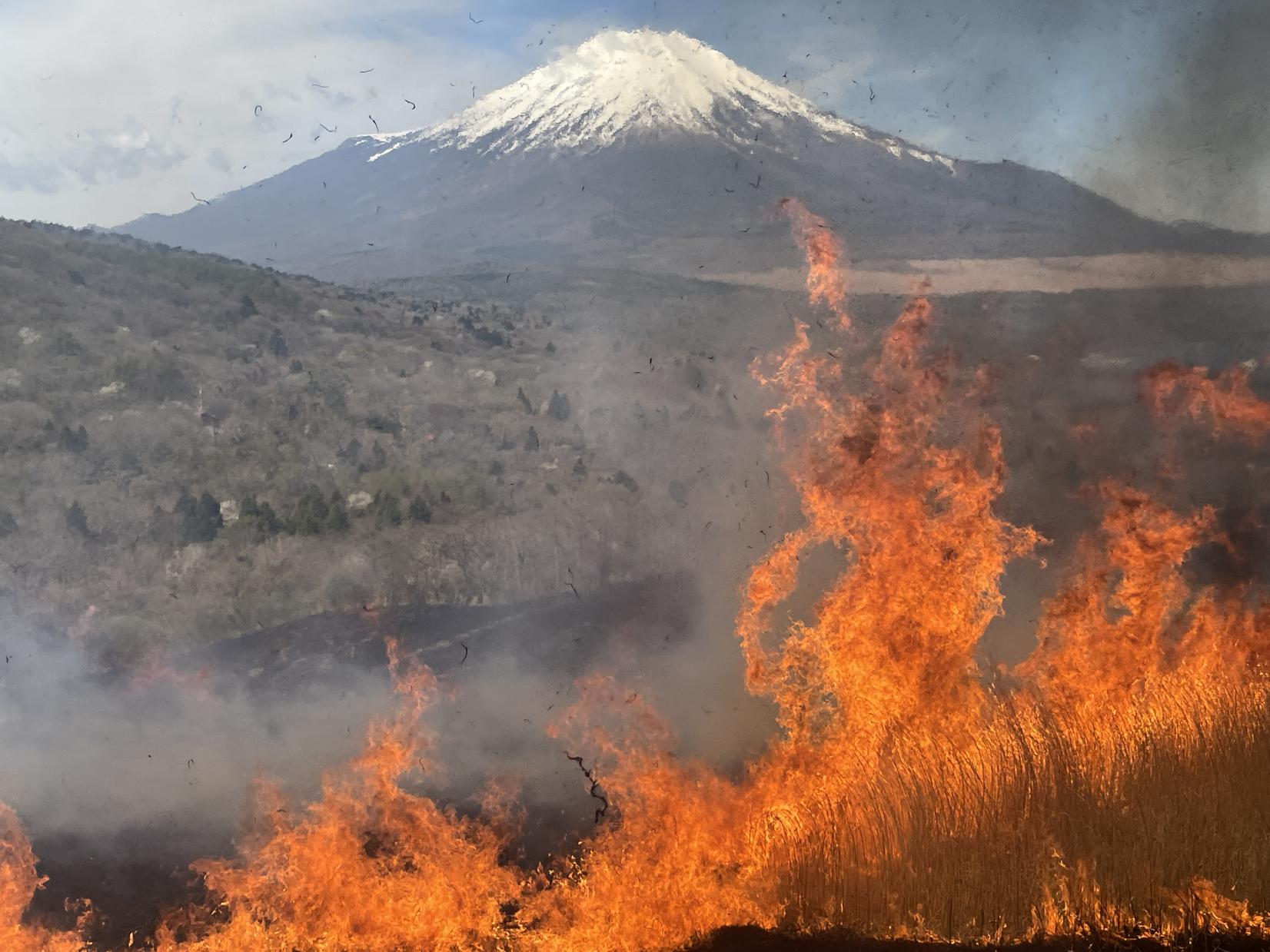 火入れの実施について-1