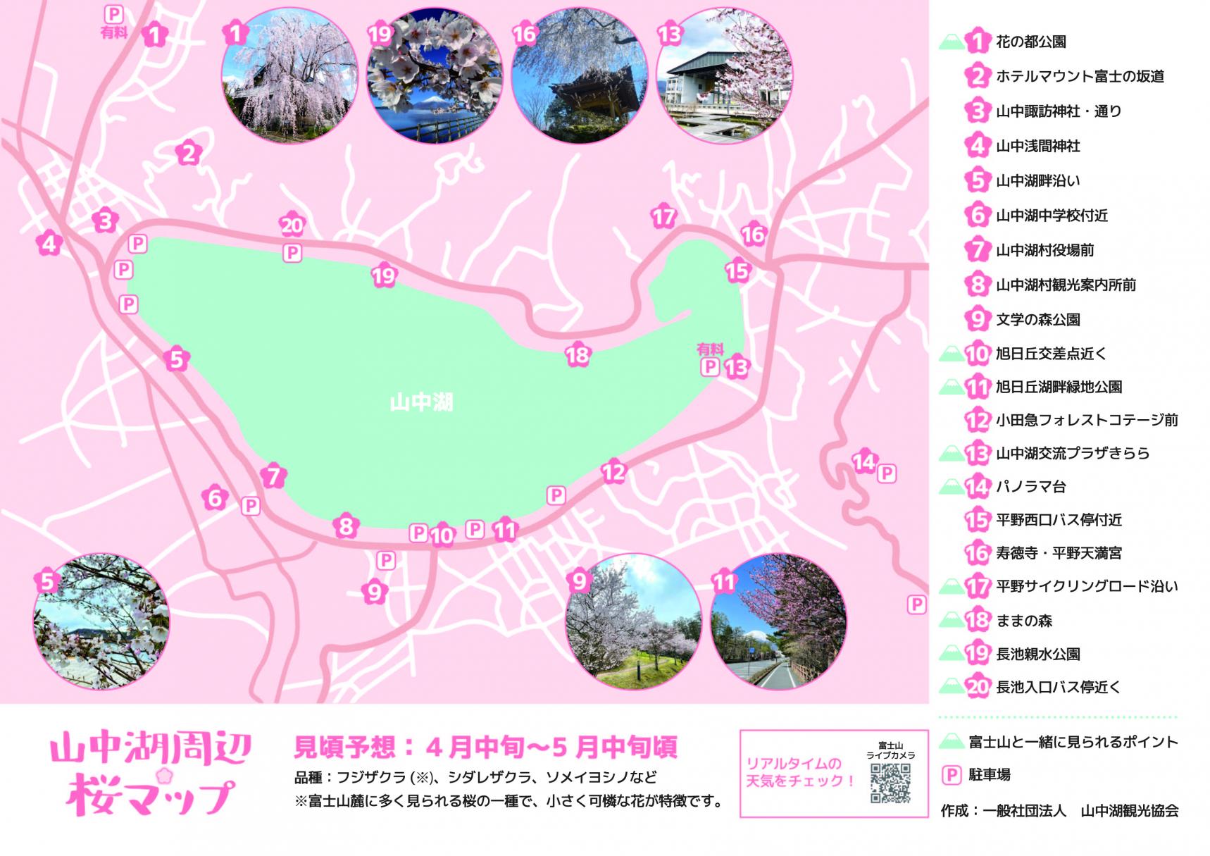 桜MAP-0