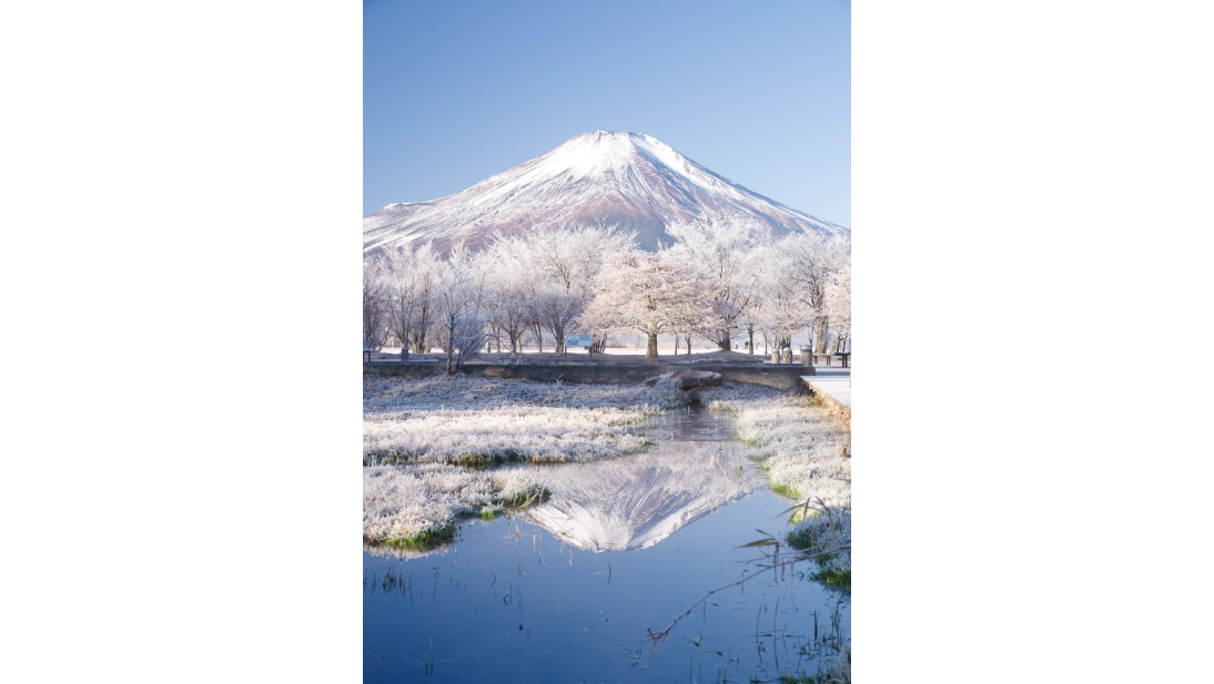 最優秀賞　『霜晴』安部 満由美-0