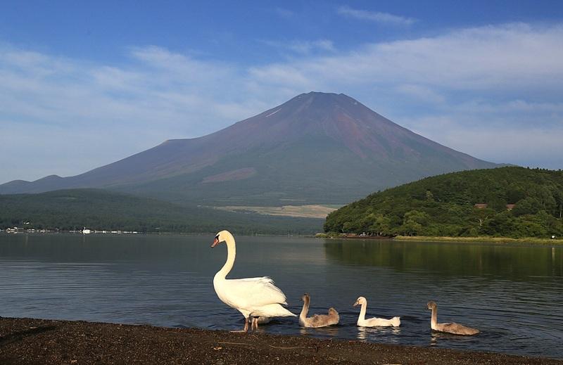 山梨放送賞　『親子でお散歩』横内 鋼二郎-0