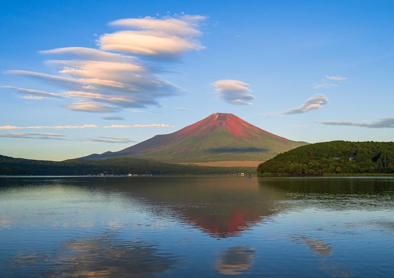白鳥の湖号賞　『赤富士の賑やかし』神足 勝英-0