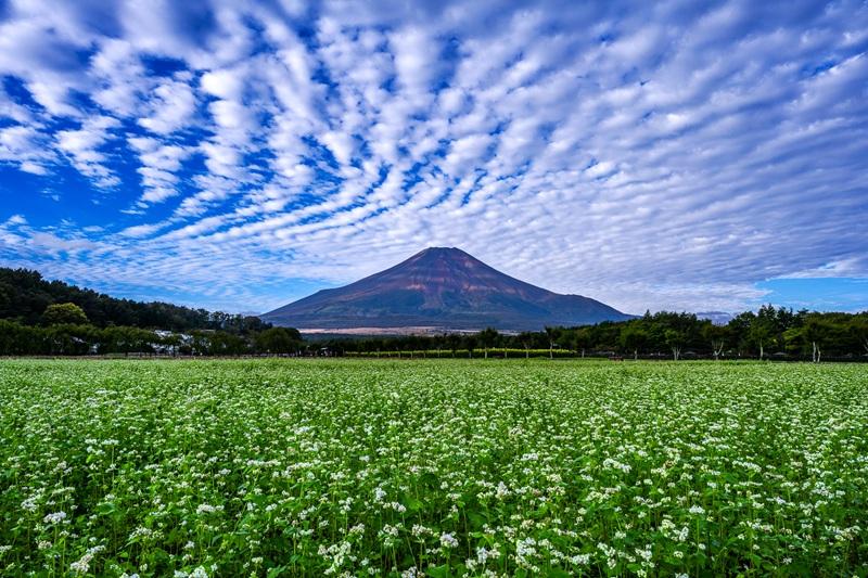 mont-bell賞　『秋光、富士を包む』渡邊 森隆-0