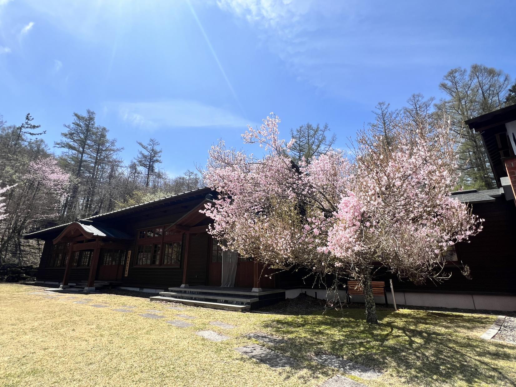 山中湖観光協会駐車場（文学の森公園内）-0