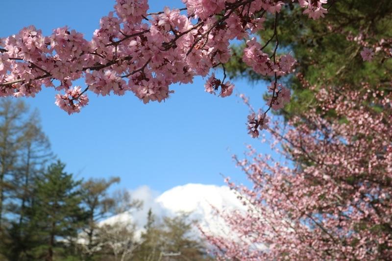 旭日丘湖畔緑地公園-0
