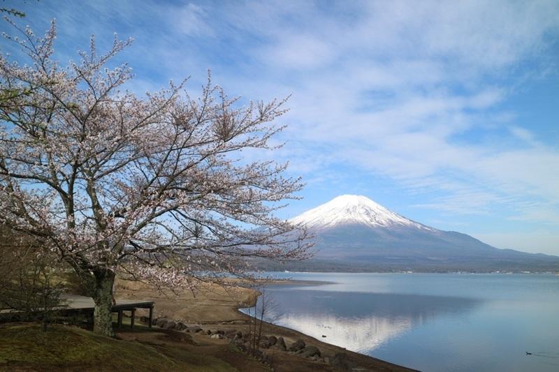 山中湖交流プラザきらら-0