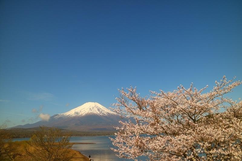 山中湖交流プラザきらら-2