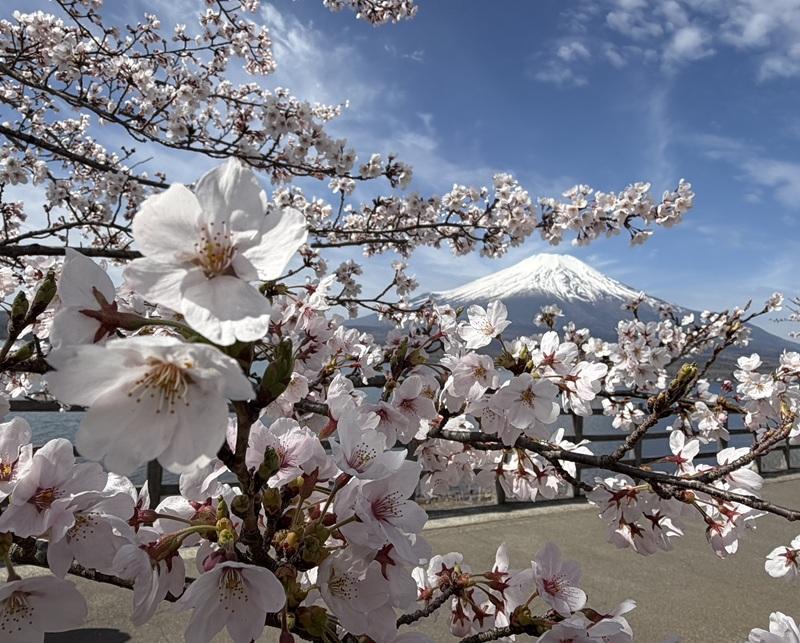 長池親水公園-0