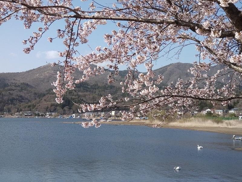 山中湖交流プラザきらら-8