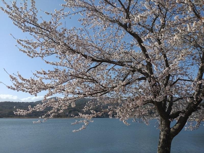 山中湖交流プラザきらら-9
