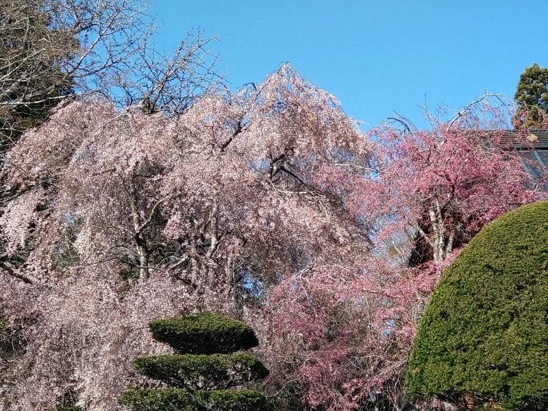 寿徳寺-1