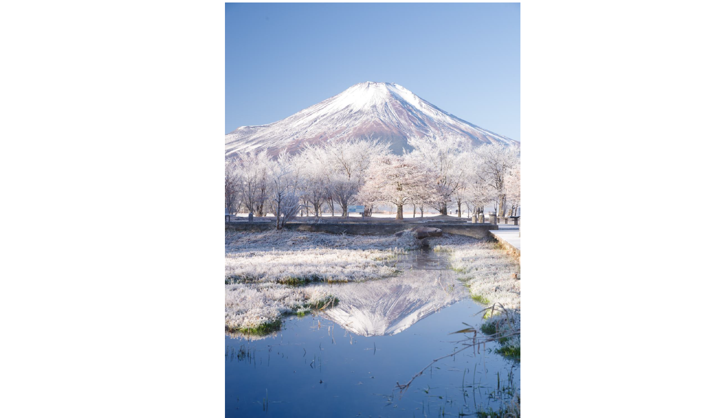 第19回山中湖フォトグランプリ 入選作品-1