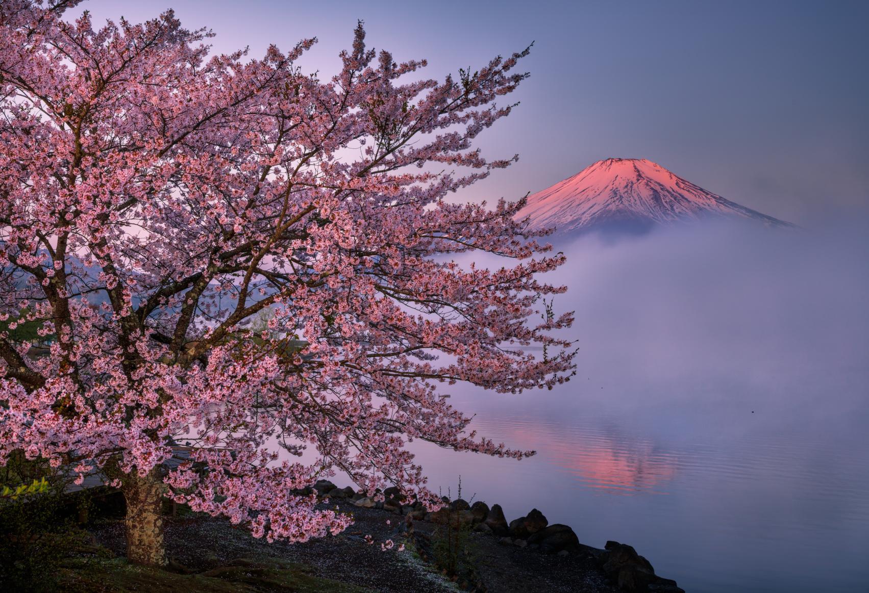 第19回山中湖フォトグランプリ優秀賞『淡春の夜明け』細井健司