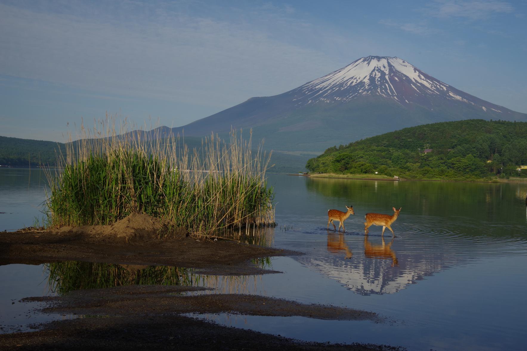 第14回山中湖フォトグランプリ 入選作品-1