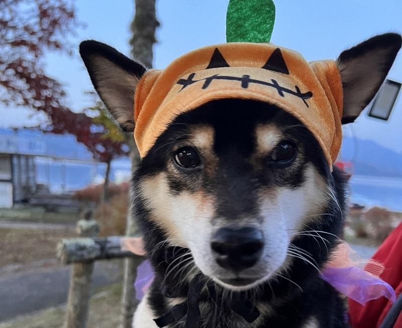 毎年大人気！ハロウィンイベント-1