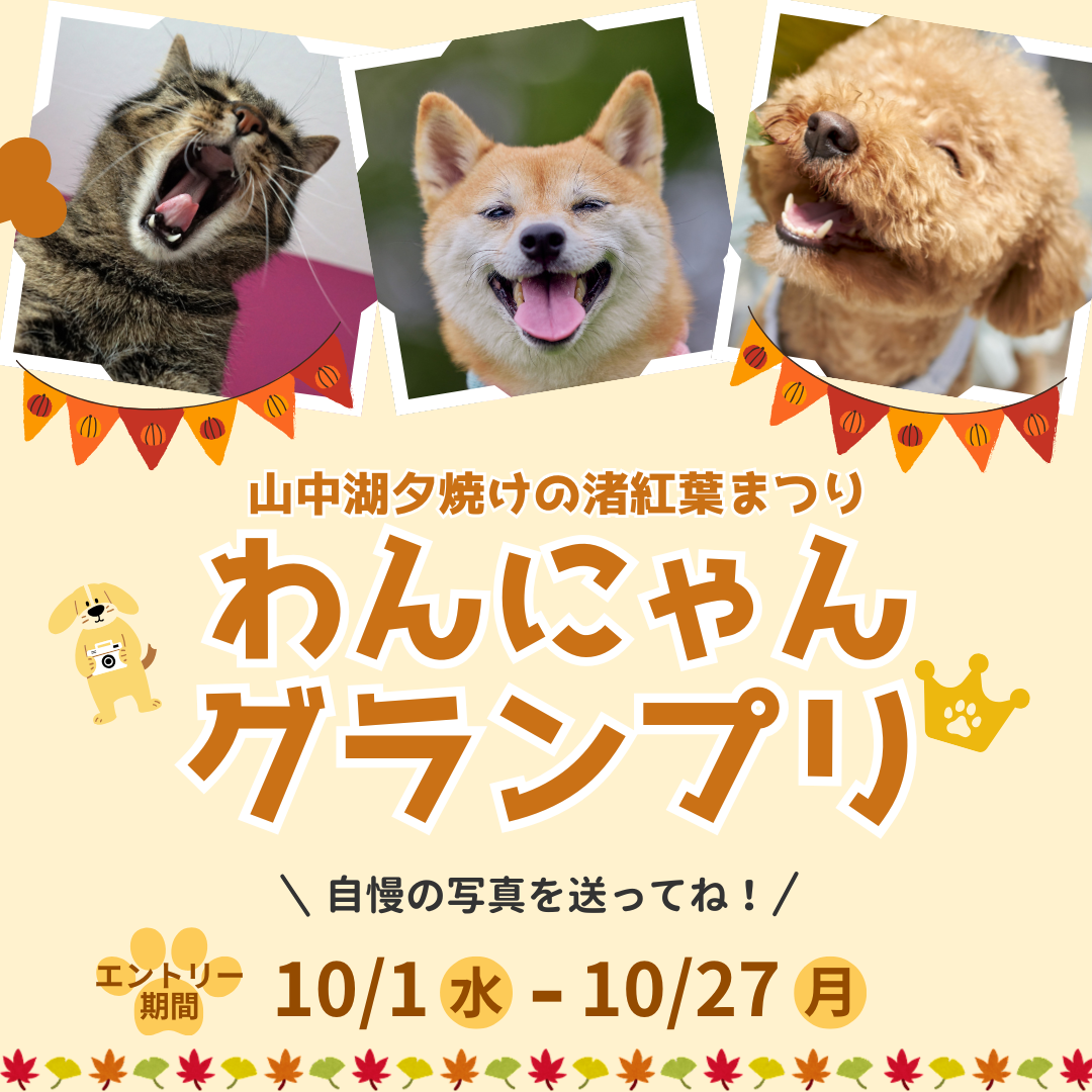 わんにゃんグランプリ-2