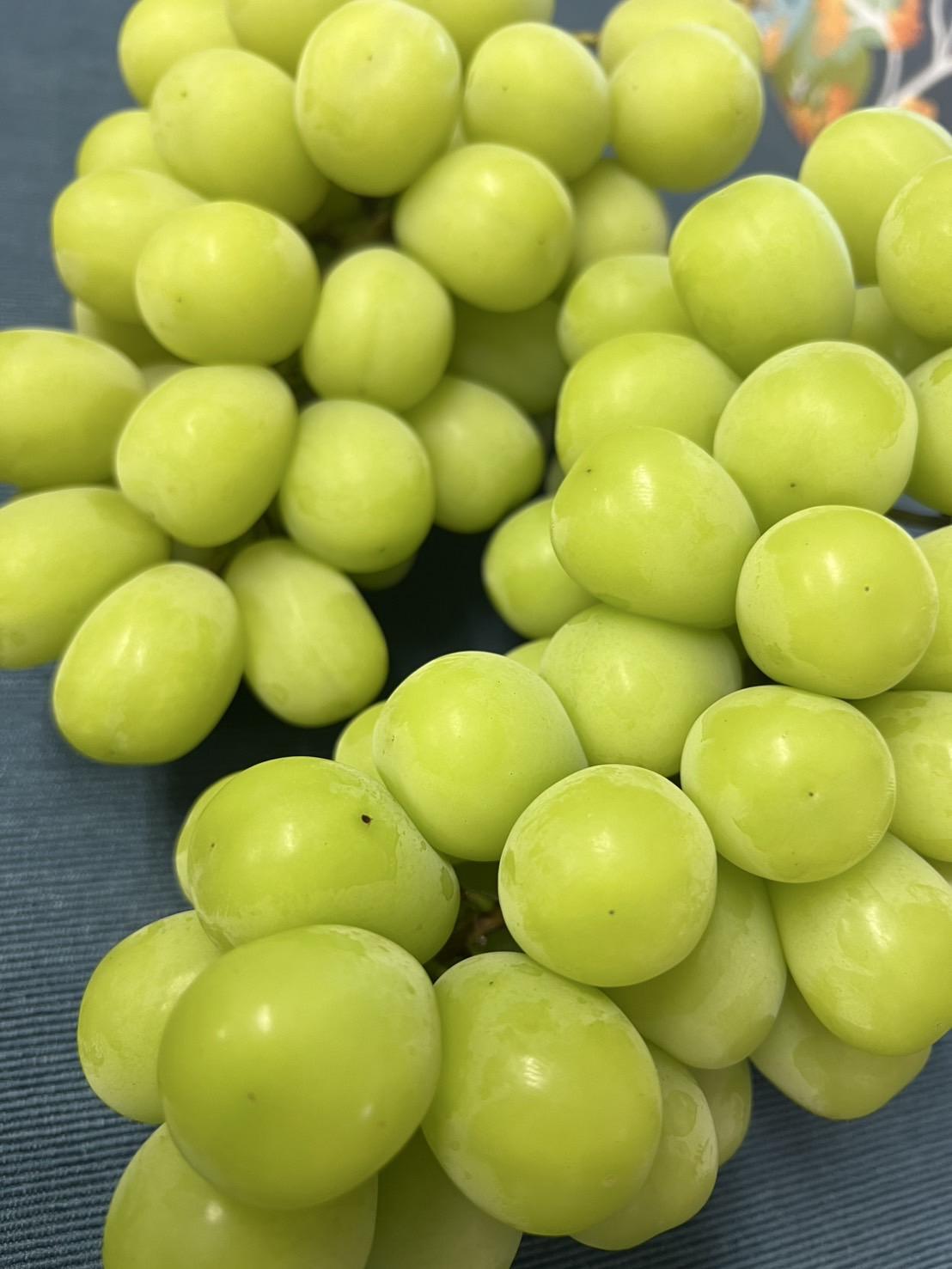 くじらのおなか-3