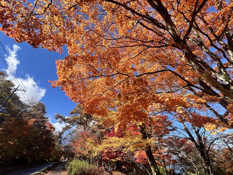 11/11(火)場内の様子-0