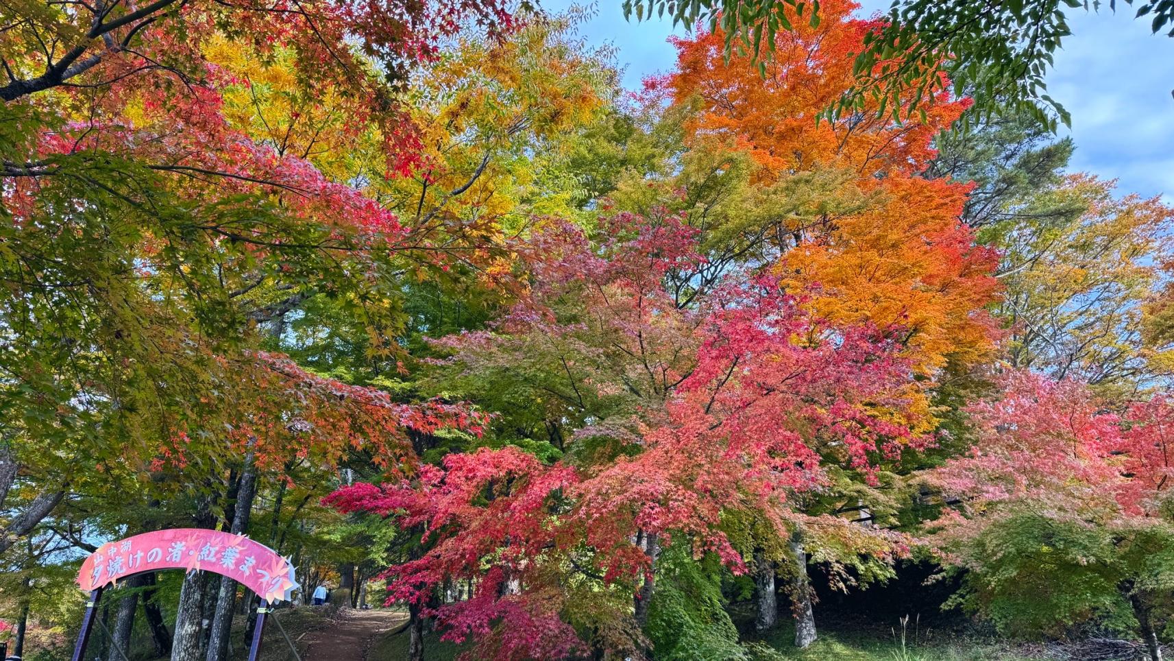 11/4(火)場内の様子-3