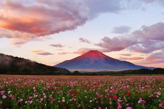 山中湖　花の都公園-8