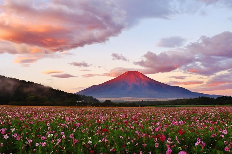 山中湖　花の都公園-8
