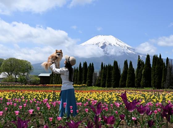 山中湖　花の都公園-7