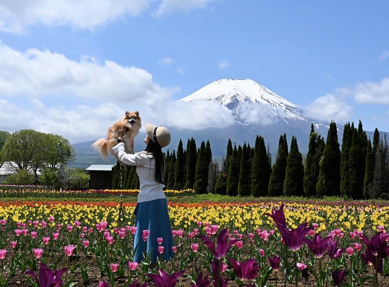 山中湖　花の都公園-7