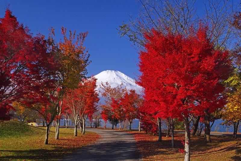 Communication Plaza Kirara-5