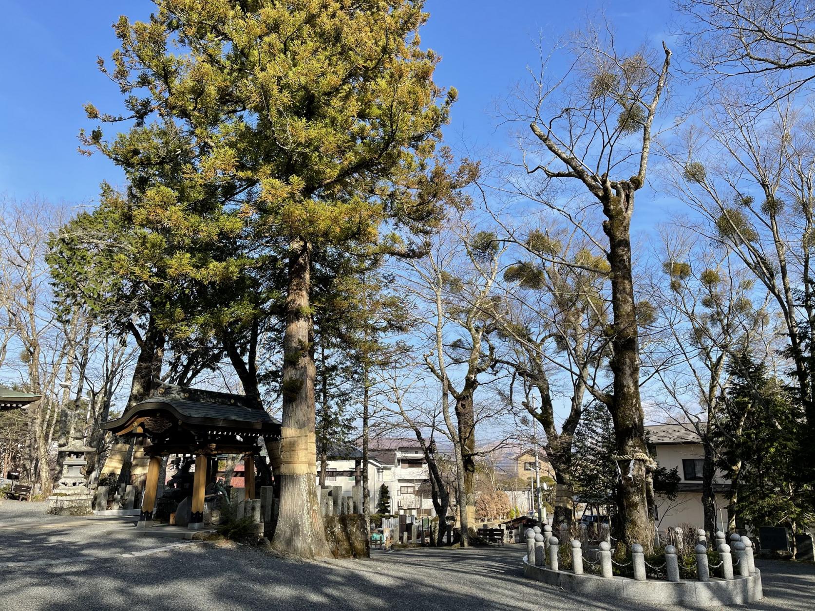 Yamanaka Suwa Jinja (Shrine)-2