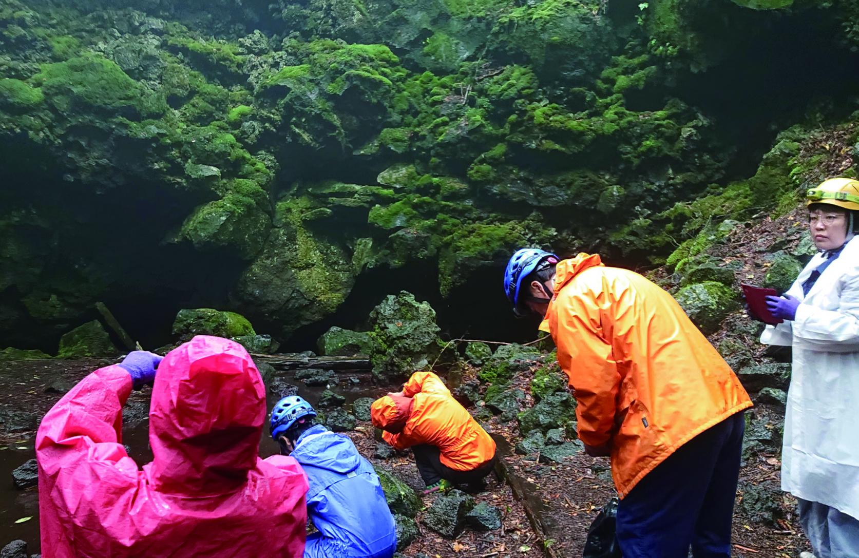 The Mt.Fuji Aokigahara Forest “Jyukai”（樹海）and cave to explore with guide!-1