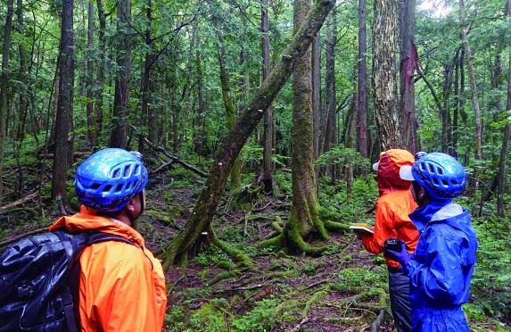 The Mt.Fuji Aokigahara Forest “Jyukai”（樹海）and cave to explore with guide!-2