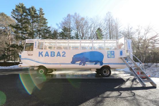 山中湖のカバ　水陸両用バス　KABA BUS-3