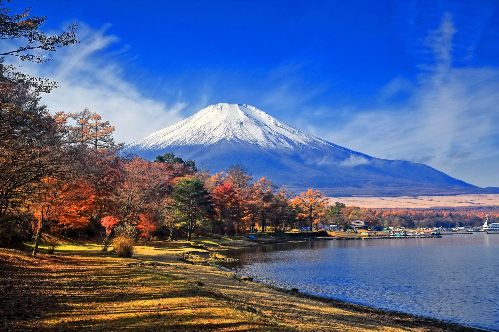 Yamanakako Autumn Leaves Festival | What to See & Do | Visit Lake Yamanaka Area -Official Yamanakako Villege Travel Guide-