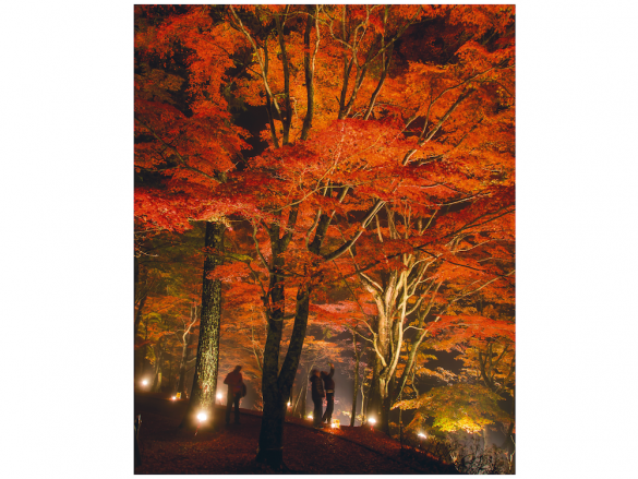 Yamanakako Autumn Leaves Festival-5