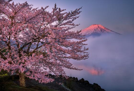 第19回 山中湖フォトグランプリ写真展in六本木-2