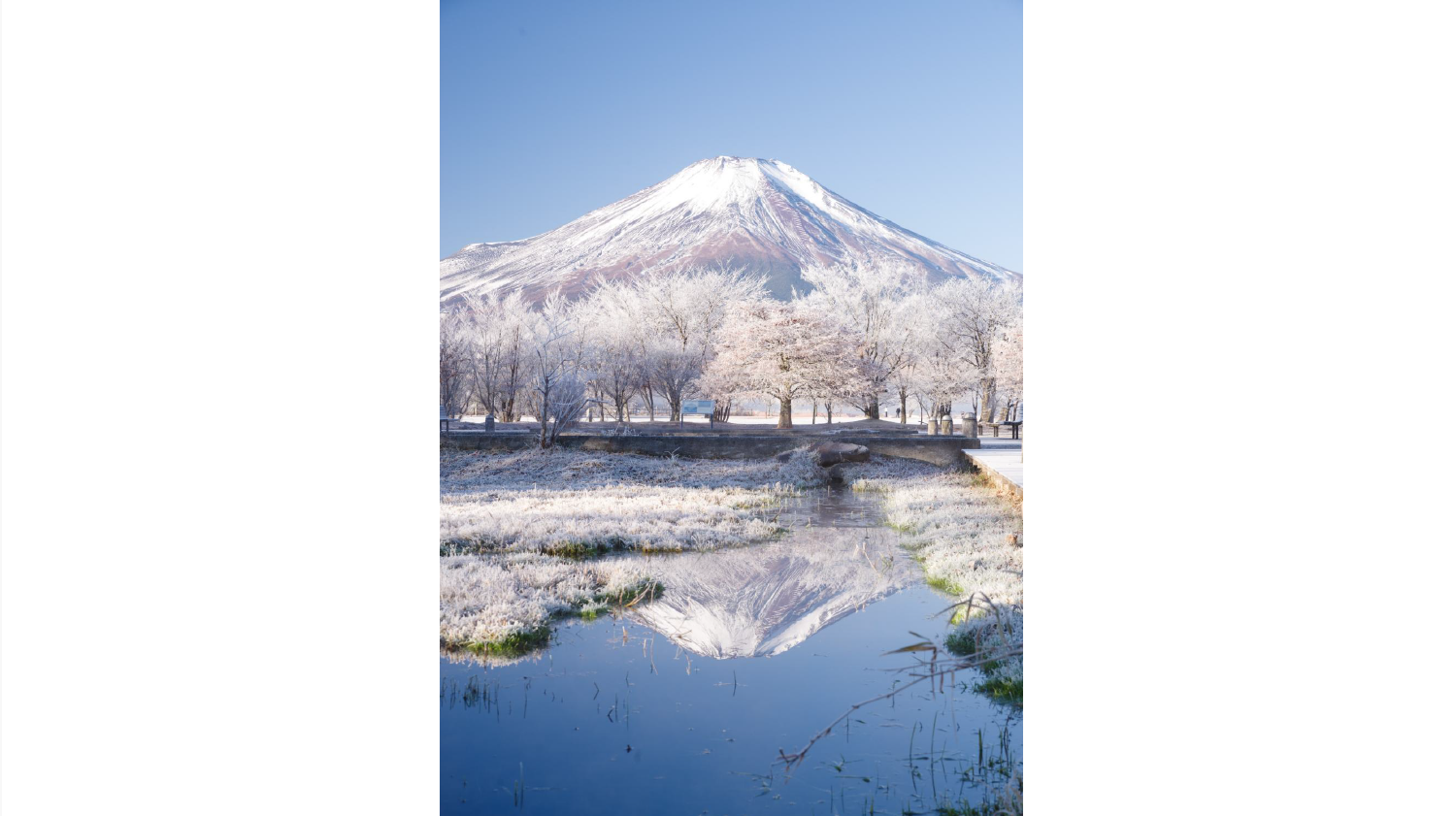 第19回 山中湖フォトグランプリ写真展in六本木-0