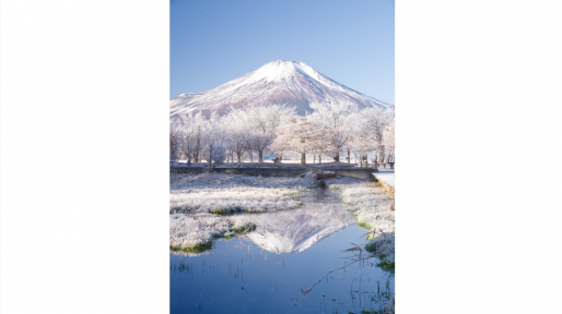 第19回 山中湖フォトグランプリ写真展in六本木-0